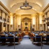GOVERNMENT ACCESS MEDIA